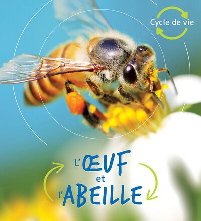  Cycle de vie : L'oeuf et l'abeille 