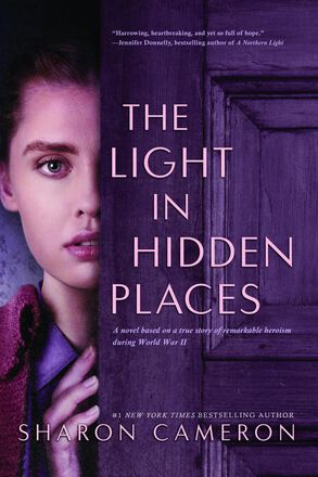 The Light in Hidden Places 