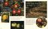 Thumbnail 3 National Geographic Kids: Apples and Pumpkins Pack 