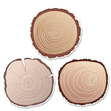  Wood Slices Cut-Outs 