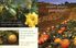 Thumbnail 5 National Geographic Kids: Apples and Pumpkins Pack 