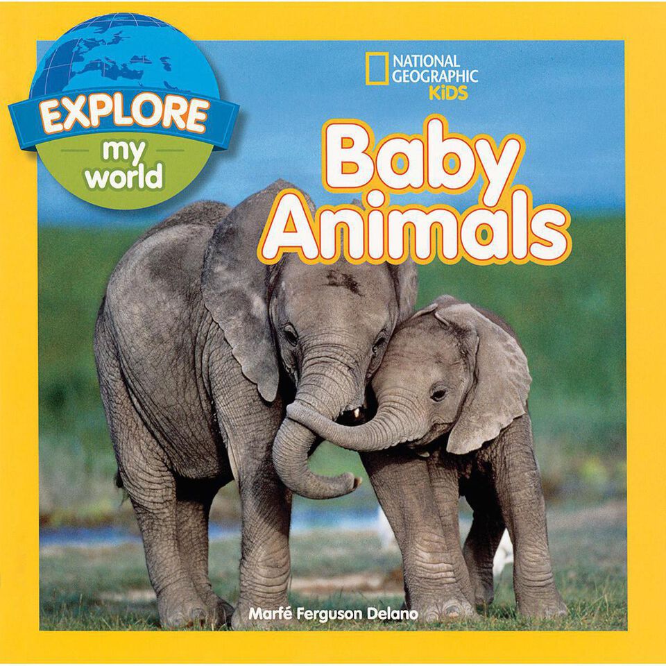 National Geographic Kids: Explore My World: Amazing Animals Pack |  Classroom Essentials Scholastic Canada