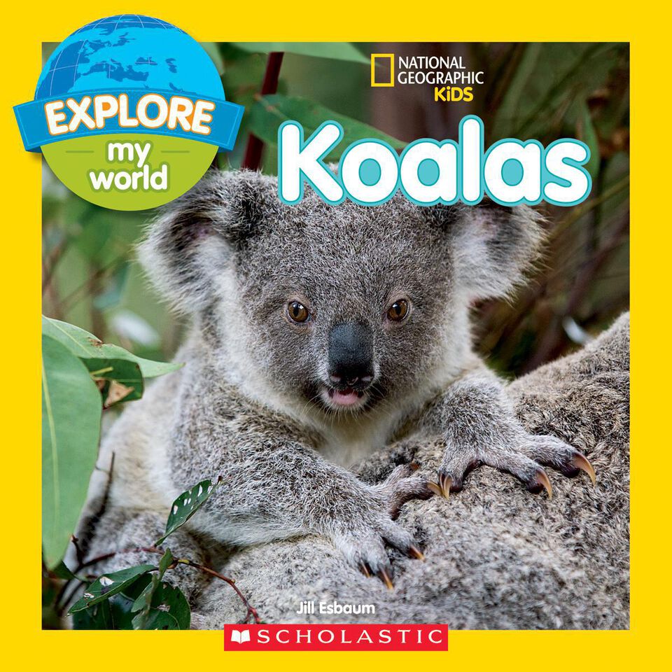 National Geographic Kids: Explore My World: Amazing Animals Pack |  Classroom Essentials Scholastic Canada
