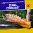 Thumbnail 7 Indigenous Communities in Canada II 7-Pack 