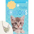 Thumbnail 1 Ma collection d'animaux : Petits chatons 