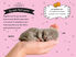 Thumbnail 2 Ma collection d'animaux : Petits chatons 