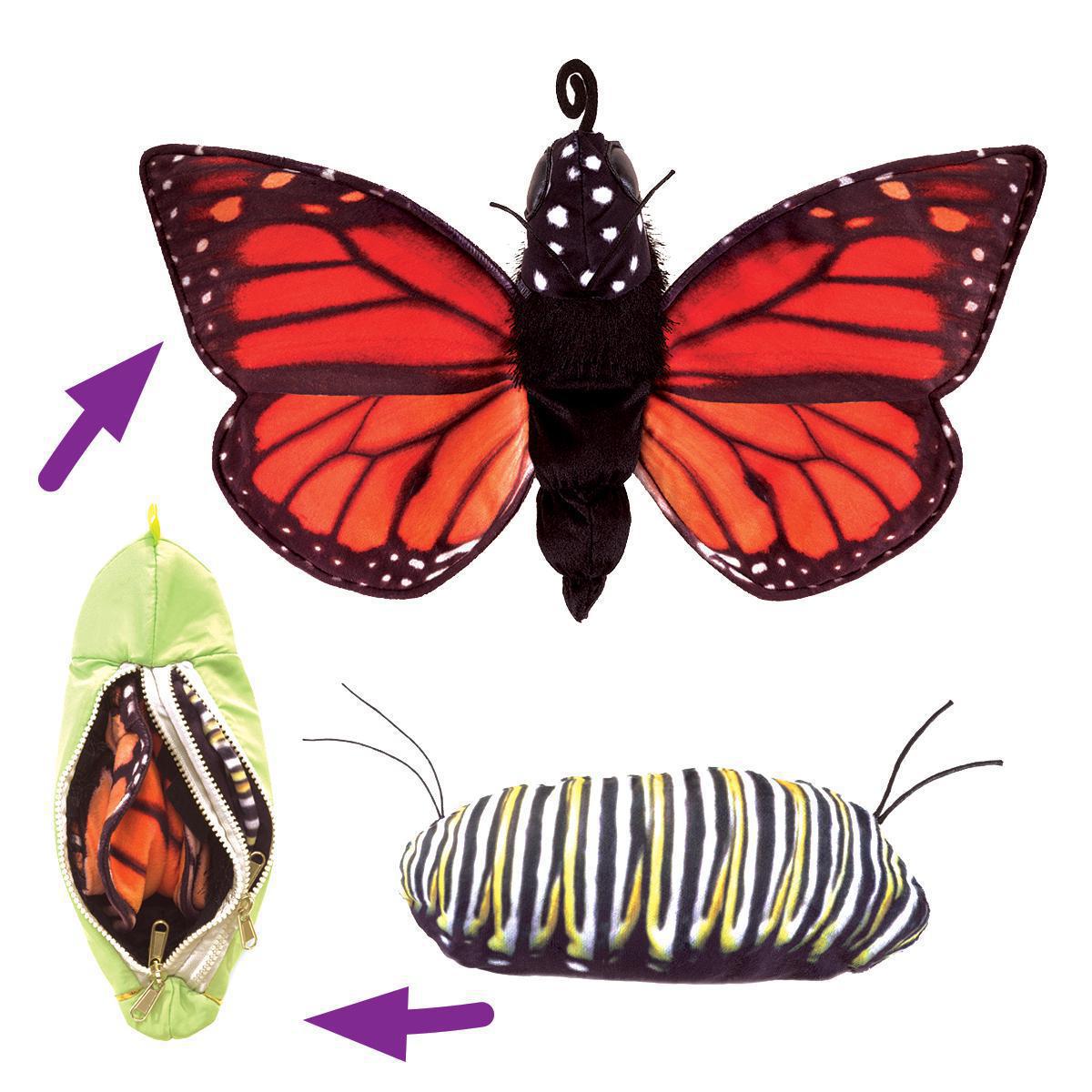  Monarch Life Cycle Puppet 