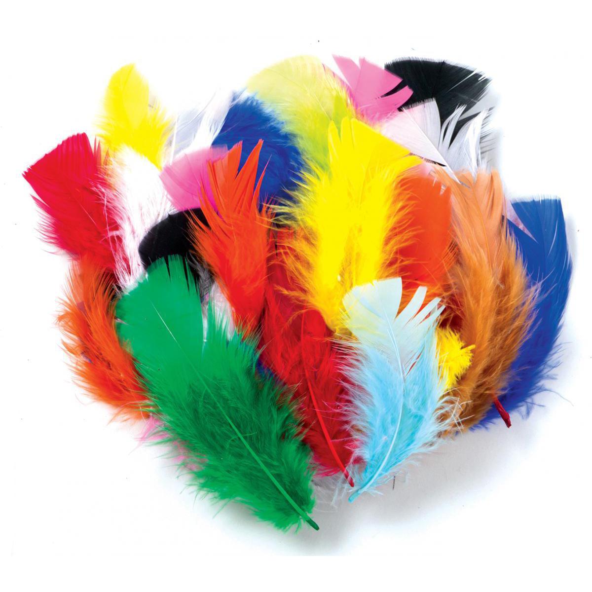  Plumage Feathers 