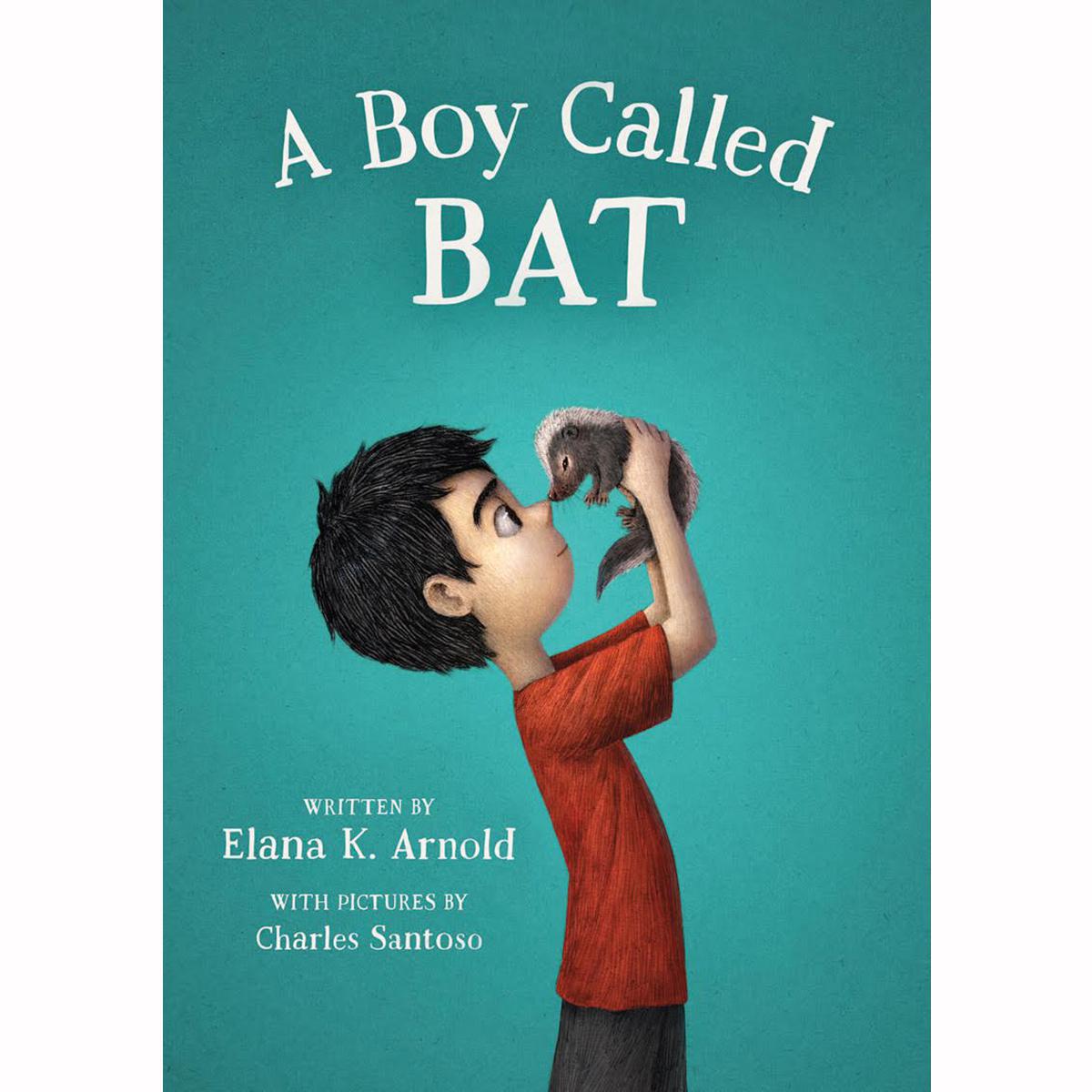  A Boy Called Bat 6-Pack 
