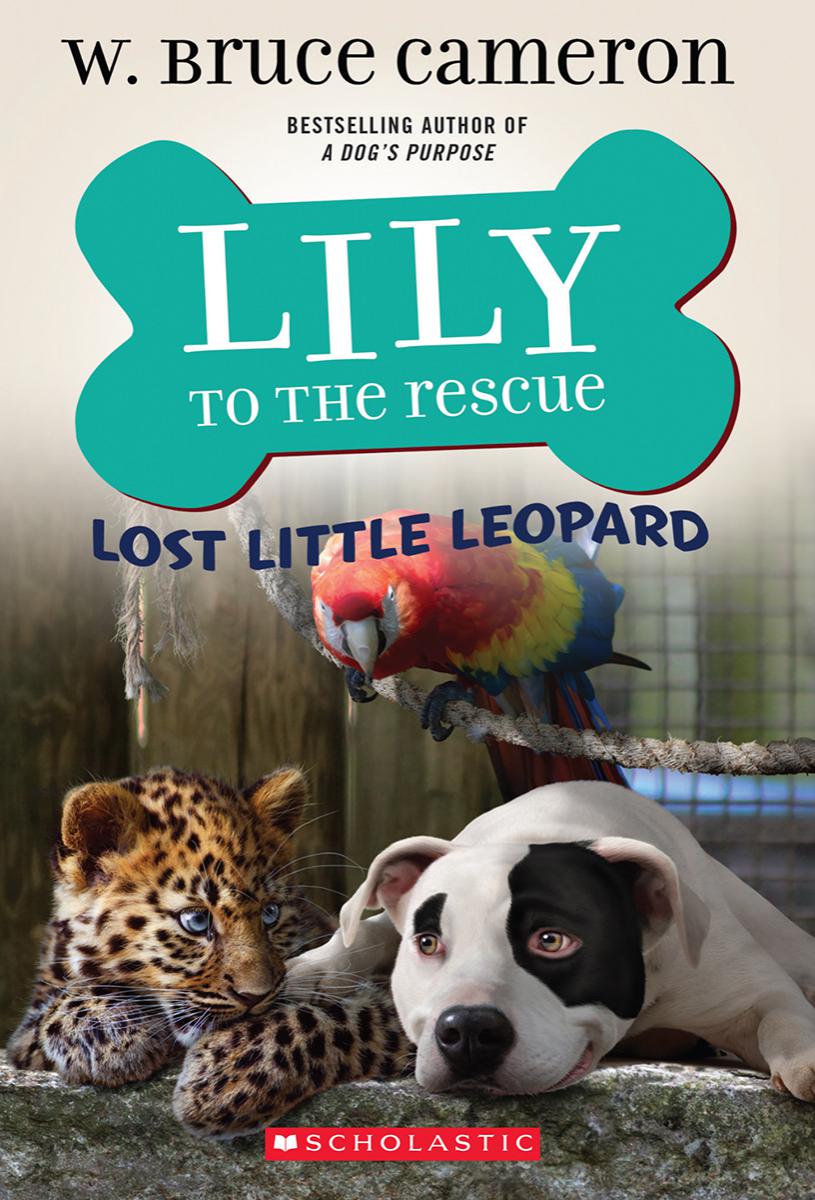  Lily to the Rescue: Lost Little Leopard 