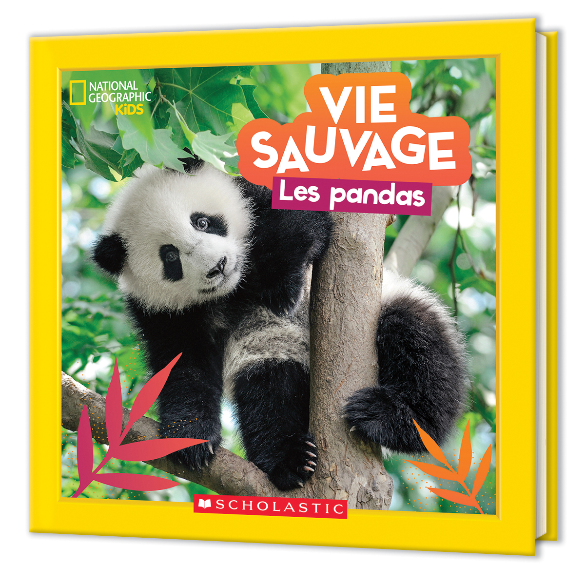  National Geographic Kids : Vie sauvage  - Les pandas 