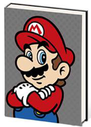  Mario Journal 