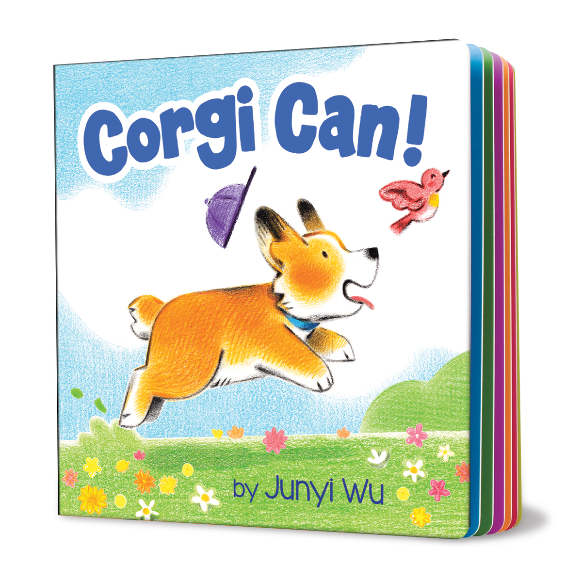  Corgi Can! 