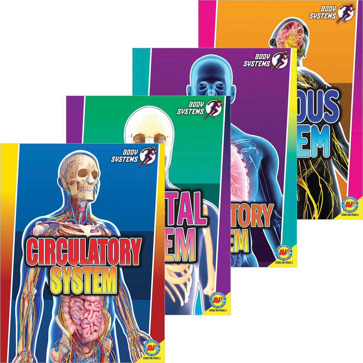  Body Systems 6-Pack 