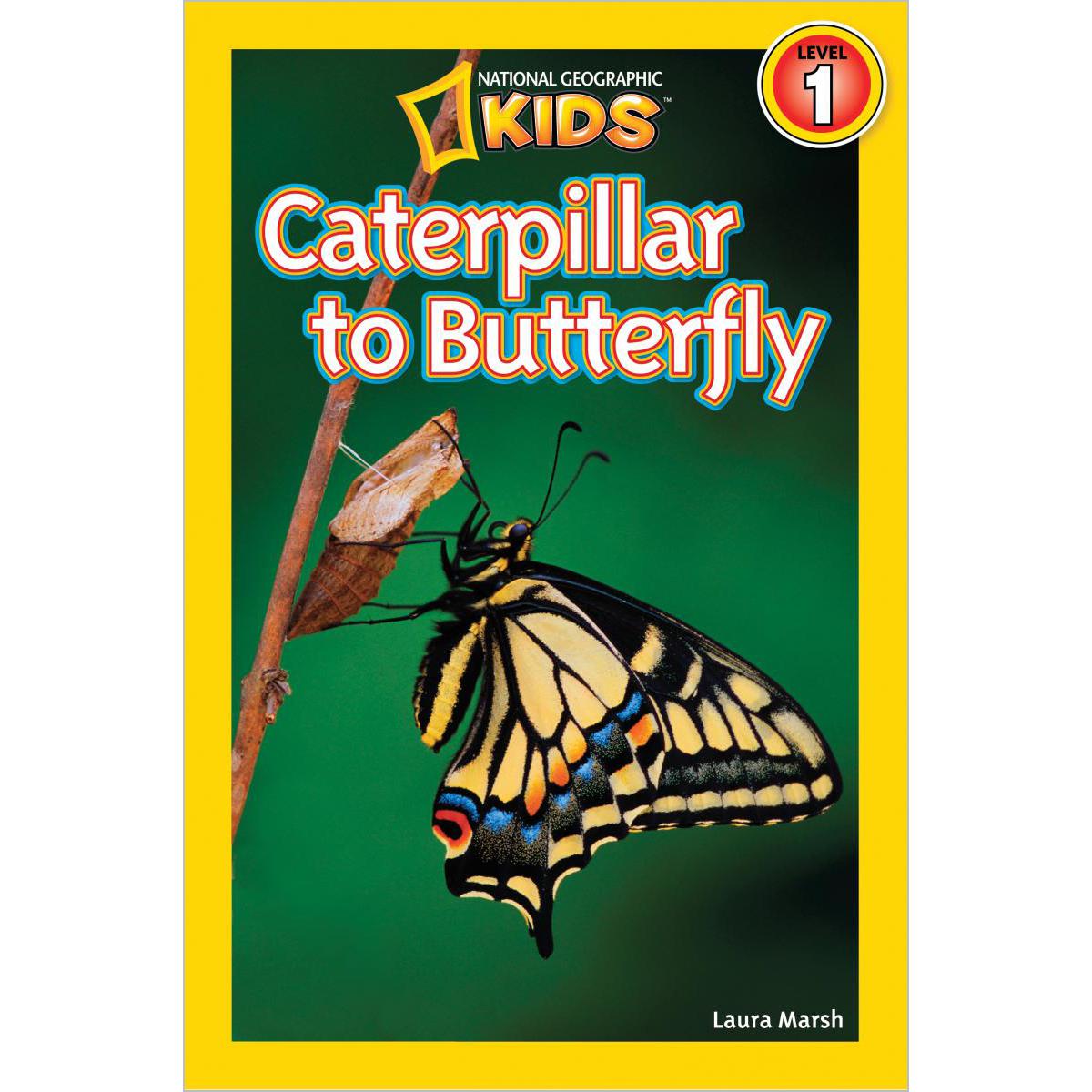  National Geographic Kids: Caterpillar to Butterfly 10-Pack 
